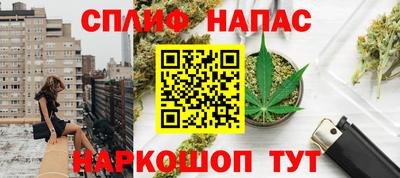 гидра Бердск