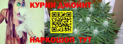 гидра Бердск