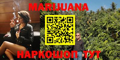 гидра Бердск