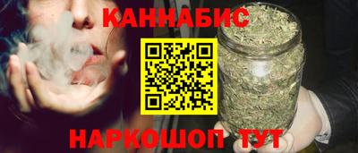 гидра Бердск