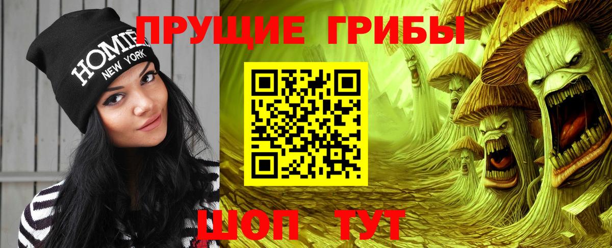 Карачаевск  Псилоцибиновые грибы GOLDEN TEACHER  Вход с VPN 